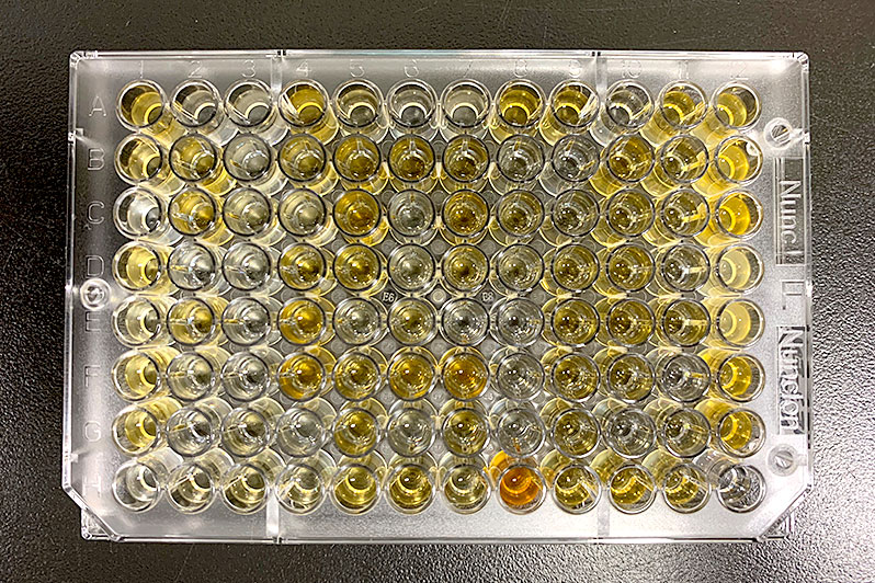 菌がN₂OをN₂に変換できるかプレートで調べます。​