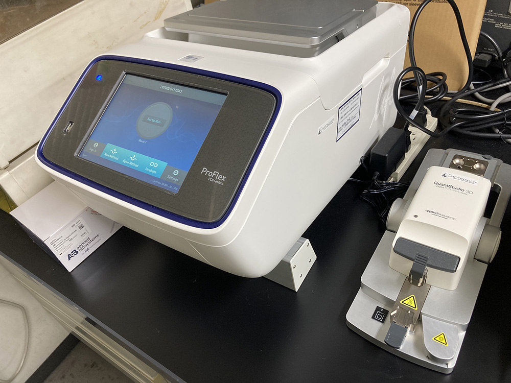 デジタルPCR機器を用いてイネ根内のCH₄酸化細菌数を推定します。