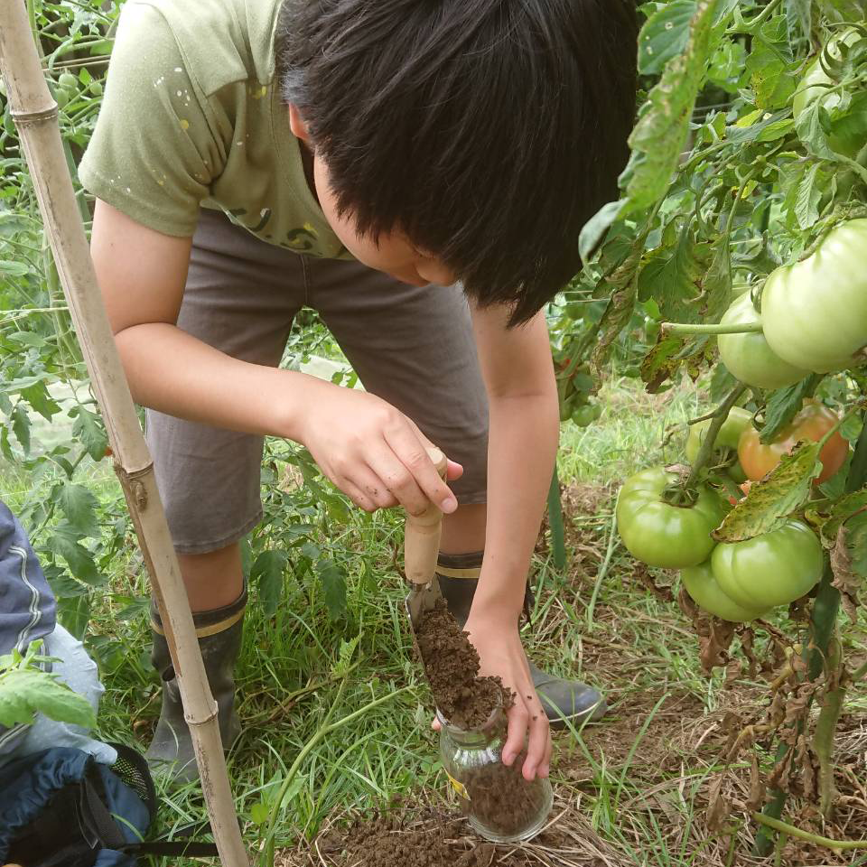 [translate:家族で実験]