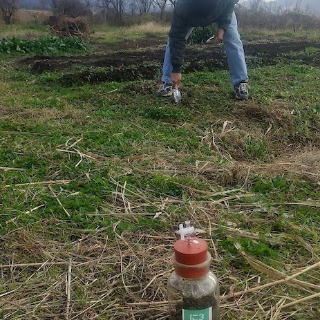 [translate:実験実施]