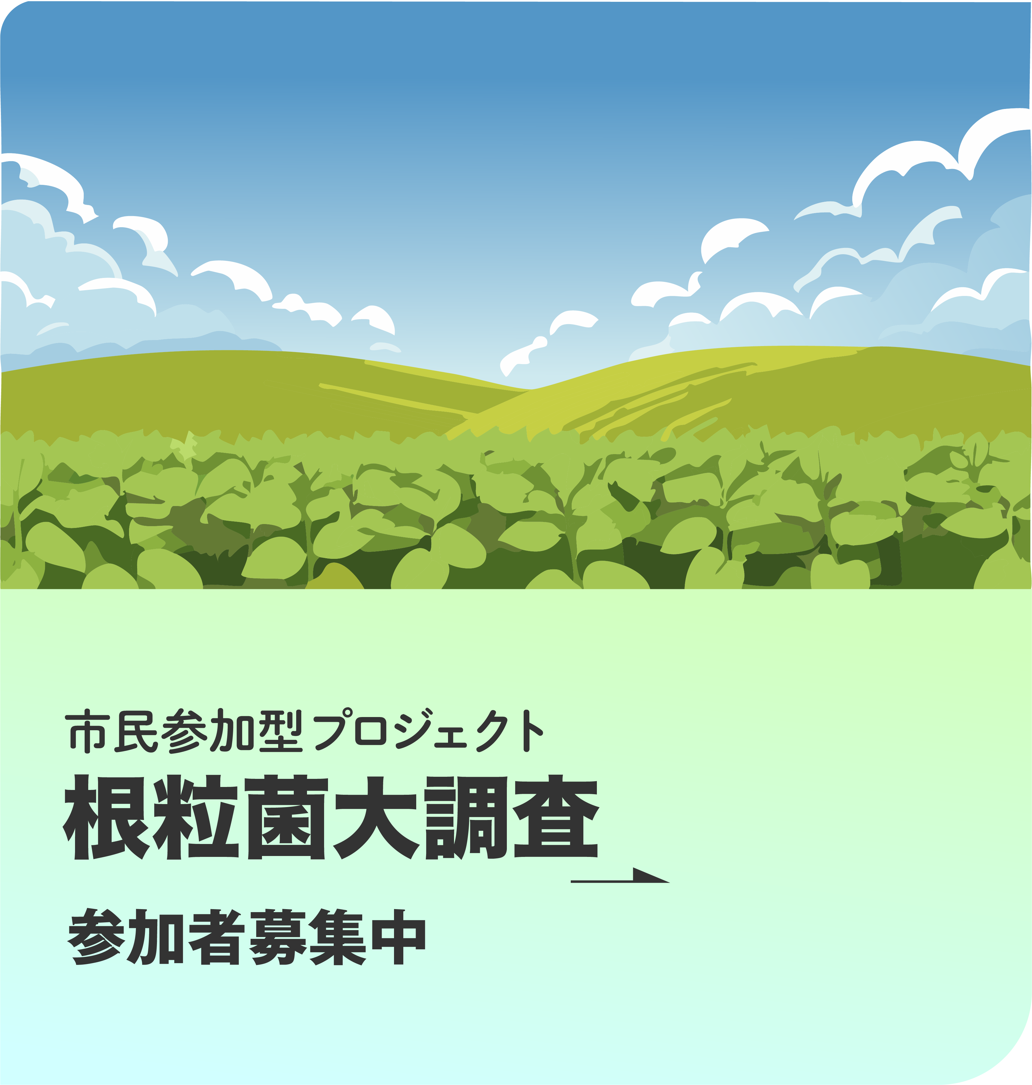 根粒菌大調査 参加者募集中